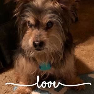 Meet your Posher, Lori